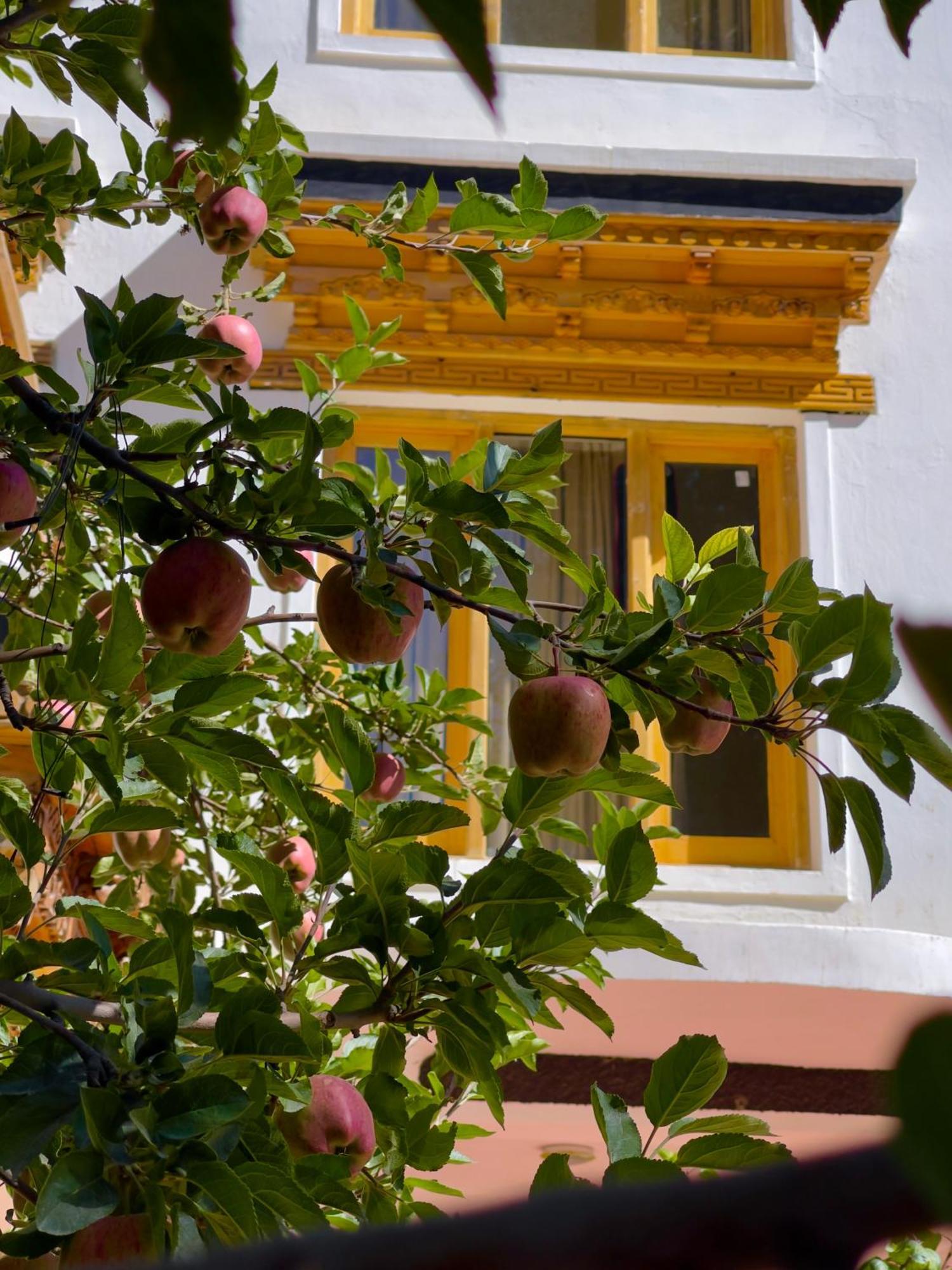 Rock Castle Residency Hotel Лех Екстериор снимка